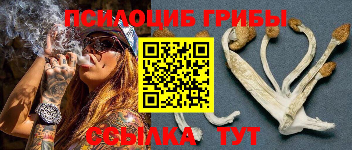 Галлюциногенные грибы Psilocybine cubensis  Псилоцибиновые грибы GOLDEN TEACHER  Вход с VPN  Урай 