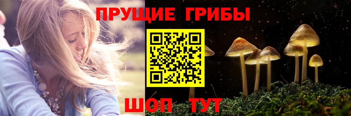 Галлюциногенные грибы мицелий Урай